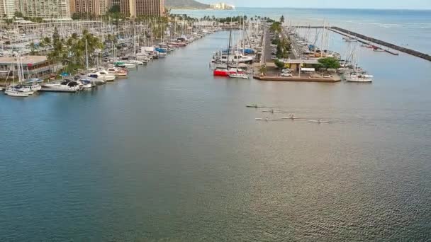 Aerial View Kayakers Returning Ala Wai Boat Harbor Oahu — Video