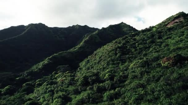 Passing Low Slow Lush Green Tropical Jungle Mountains Island Kauai — Stockvideo
