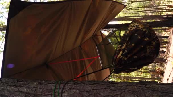 Static Vertical Shot Military Army Hammock Set Trees — Stok Video