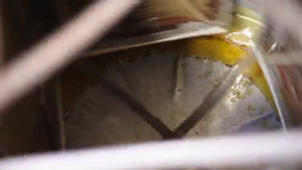 Κοντινό Πλάνο Του Φρέσκου Υγρού Πυκνού Μελιού Extractor Machine Spining — Αρχείο Βίντεο