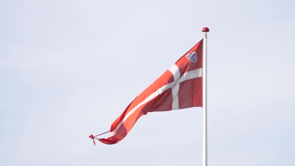 Размахивая Датским Государственным Флагом Медленном Движении Против Чистого Неба — стоковое видео