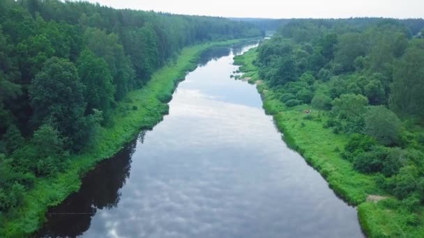 Aerial View Venta River Latvia Sunny Summer Day Lush Green — 图库视频影像