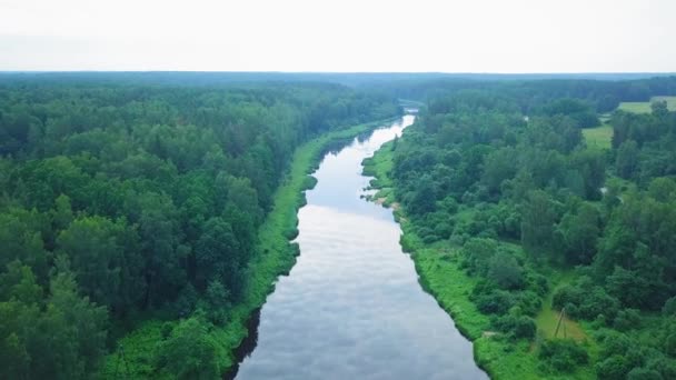 Widok Powietrza Rzekę Venta Łotwa Słoneczny Letni Dzień Bujne Zielone — Wideo stockowe