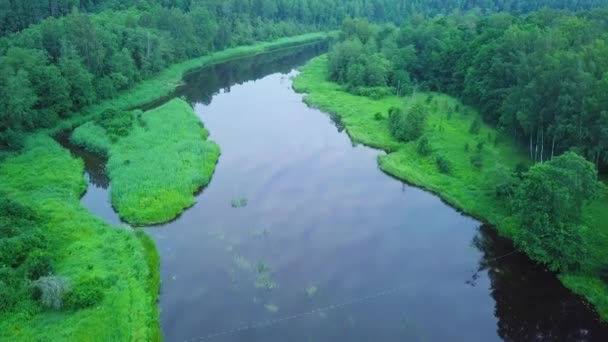 Aerial Birdseye View Venta River Latvia Sunny Summer Day Lush — Stock video