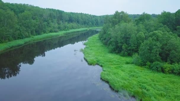 Aerial View Venta River Latvia Sunny Summer Day Lush Green — 图库视频影像