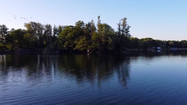 Lake Island Which Forested Ducks Water Air Stunning Aerial View — 图库视频影像