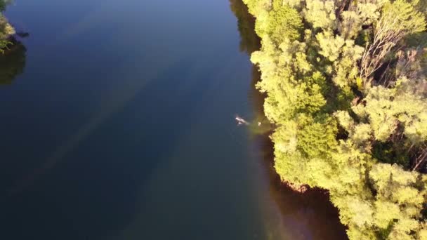 People Swimming Lake Middle Forest Brandenburg Stunning Aerial View Flight — Stockvideo