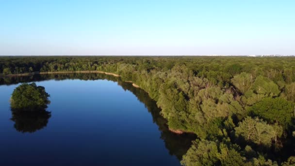 Birches Trees Shore Reflected Water Gorgeous Aerial View Flight Sinking — Video