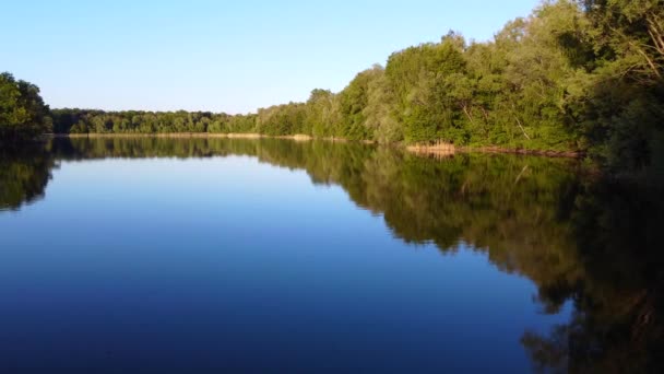 Soothing Forest Lake Mental Health Nature Beautiful Aerial View Flight — Video