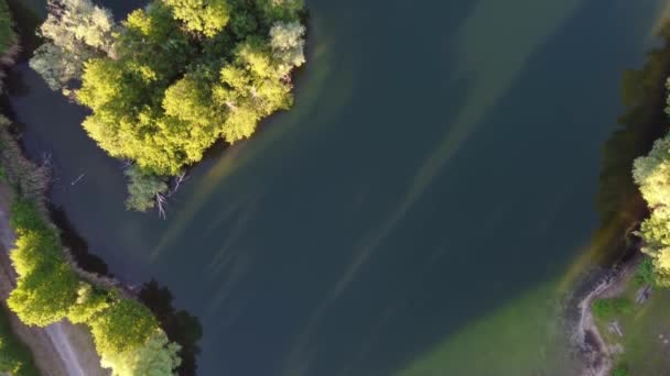 Lake Island Trees Water Swimming Ducks Unbelievable Aerial View Flight — Stock video