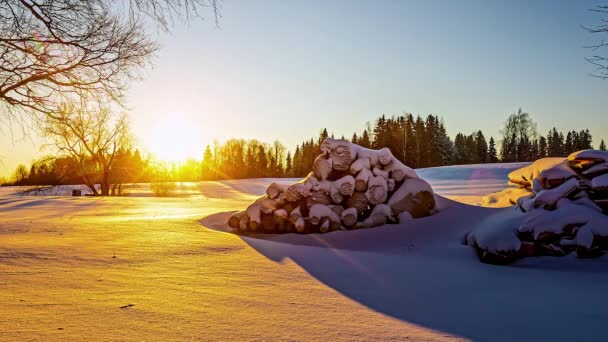 Wonderful Snowy Winter Sunset Landscape Wood Logs Covered Snow — Stockvideo