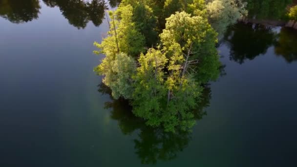 Lake Small Peninsula Trees Long Shade Buttery Soft Aerial View — Video