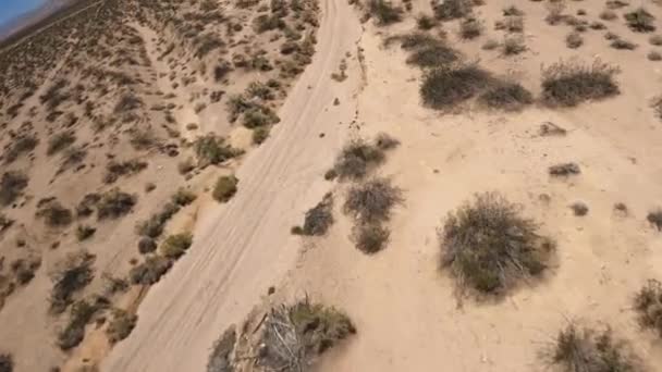 Dry Riverbed Arroyo Mojave Desert First Person Drone — Stock Video