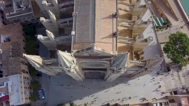 Uitzicht Vanuit Lucht Kathedraal Van Santa Maria Van Palma Mallorca — Stockvideo