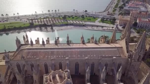 Scenic Aerial View Cathedral Santa Maria Palma Pool Fountain — Video