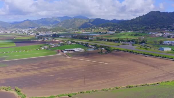Aerial Drone Pov Farm Agricultural Production Constanza Territory Dominican Republic — Stock videók