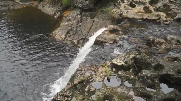 Top View Small Slow Motion Mossy Rocky Water Fall — Stok video