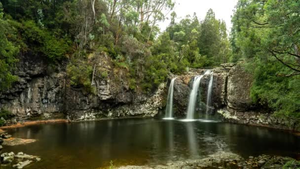 Time Lapse Small Rocky Water Fall Luscious Green Forest — Stock video