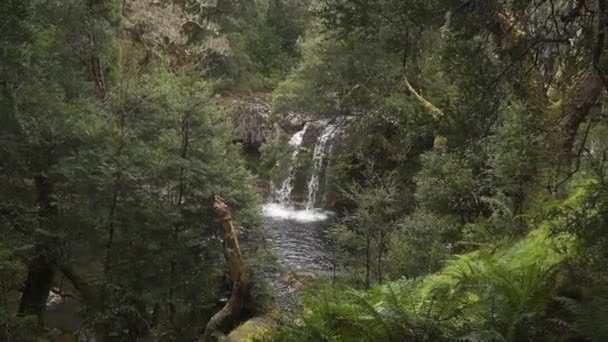 Slow Motion Rocky Ledge Waterfall Mossy Green Forest — Stockvideo