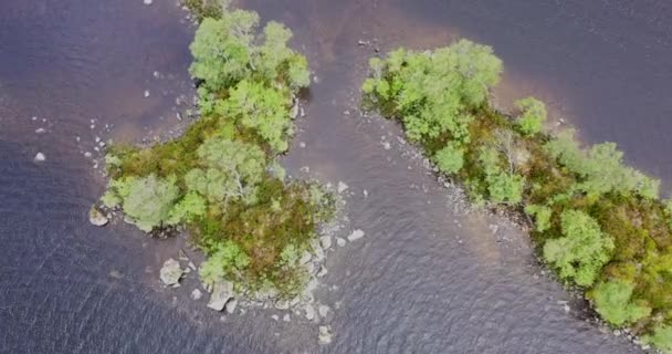 Wooded Islands Loch Rannoch Moor Highlands Scotland Aerial Top — Vídeo de stock