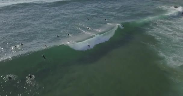 Aerial Tracking Drone Shot Man Surfer Riding Waves Atlantic Sea — ストック動画