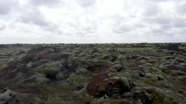 ドローンビデオが前方に移動するアイスランド溶岩岩フィールド — ストック動画