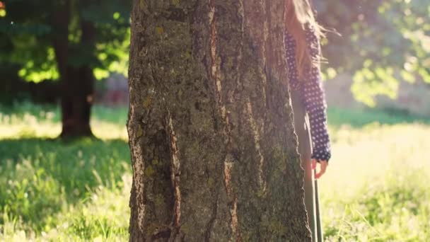 Slow Motion Green Activist Hugging Tree Trunk Back Bright Sunny — Stockvideo