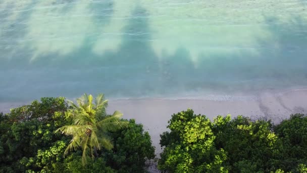 Beach Coastline Waves Gently Splashing Shore Palm Tree Other Tropical — Wideo stockowe