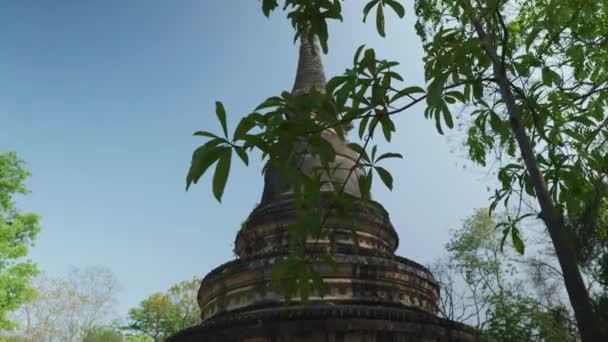 Cinematic Religious Travelling Footage Buddhist Temple Wat Umong Chiang Mai — Stock video