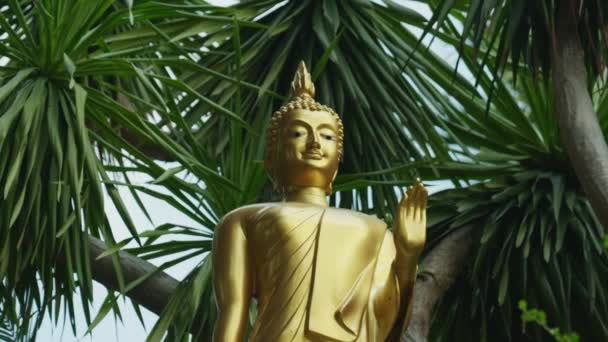 Кінематичний Повільний Кадр Золотої Статуї Будди Парку Біля Золотої Гори — стокове відео