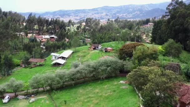 Hydrangea Flower Field Growing Hill Province Cuenca Ecuador Повітряний Підхід — стокове відео