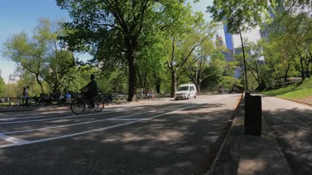 People Traffic Central Park Summer Sunny New York Usa Time — Vídeo de Stock