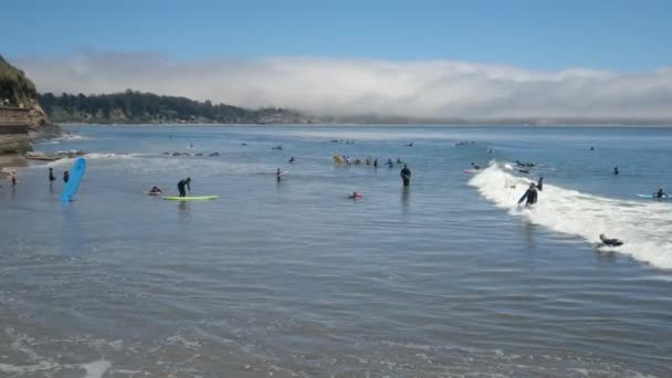Many People Learning Surf Seashore Surf School Beach California — Stock Video