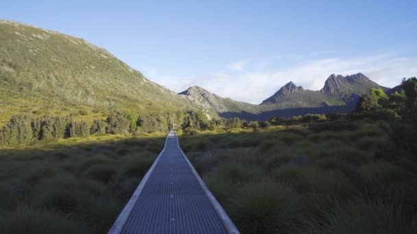 Panning Shot Long Walk Track Cradle Mountain Afternoon — 비디오