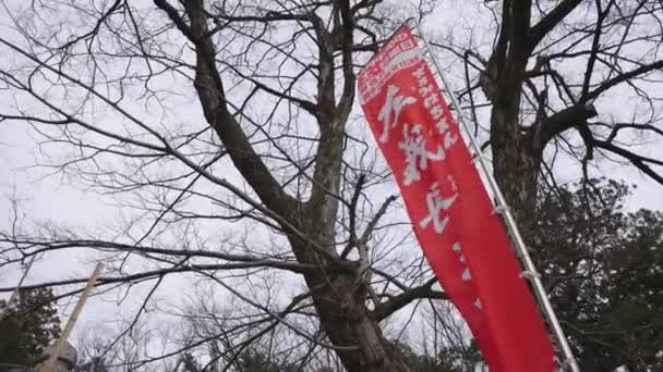Bandera Sagicho Matsuri Ondeando Festival Japonés — Vídeos de Stock