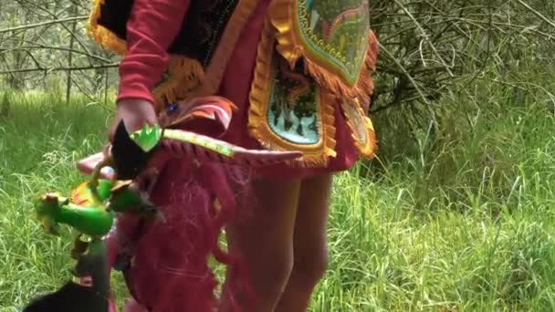 Diablada Pillarea Performer Walking Away Forest Tracking Shot — 비디오
