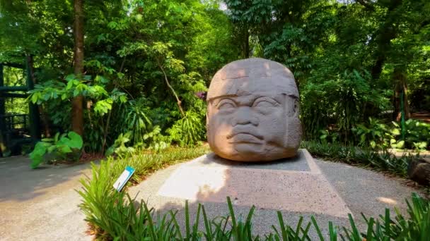 Olmec Tête Dans Parc Venta Villahermosa Tabasco Mexique — Video