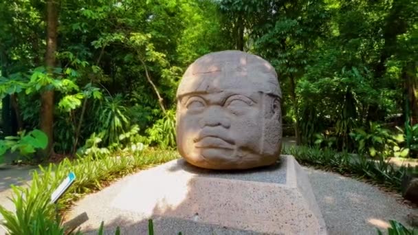 Olmec的头在墨西哥Tabasco Villahermosa的La Venta公园 — 图库视频影像