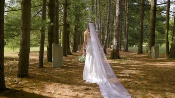 Bride White Romantic Wedding Dress Veil Flowing Her Walks Sunny — Wideo stockowe