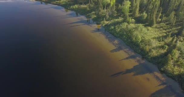 Colpo Aereo Volando All Indietro Lago Calmo Innaffiato Fronte Una — Video Stock