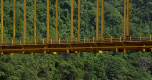 Usumacinta Fluss Und Brücke Chiapas Mexiko — Stockvideo