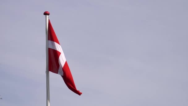 National Danish Flag Dannebrog Top Flagpole Static — 图库视频影像