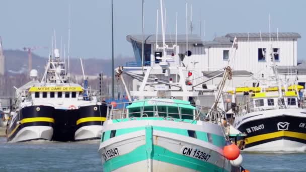 Πολλαπλές Σύγχρονες Βάρκες Μηχανότρατα Έρχονται Πίσω Στο Λιμάνι Honfleur Αλίευμα — Αρχείο Βίντεο