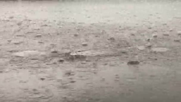 Mnoho Kapek Deště Velmi Silného Deště Padajícího Kamennou Terasu — Stock video
