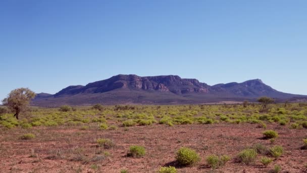 Flinders Rangers View Rawnsley Bluff Station Hill — Stock video