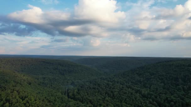 アレゲニー国立の森の中に曇り空の緑の丘の空中写真 — ストック動画