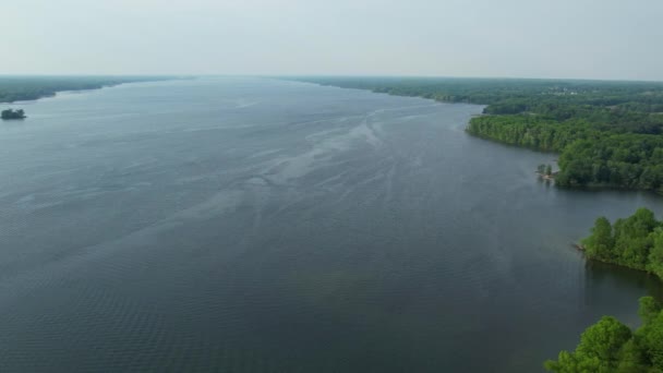 Aerial View Forest Allegheny National Forest Allegheny Reservoir Warren Pennsylvania — Stock Video