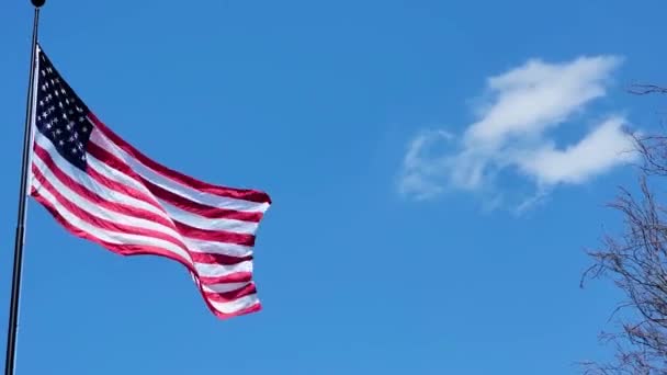 Bandeira Americana Acenando Vento Céu Azul — Vídeo de Stock