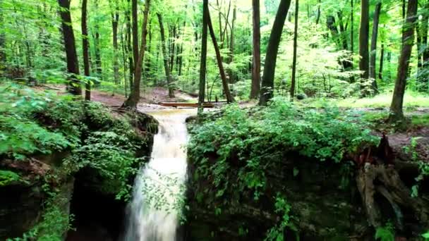 Cinematic View Cascade Falls Leaves Moss Covered Boulders Nelson Ledges — стокове відео