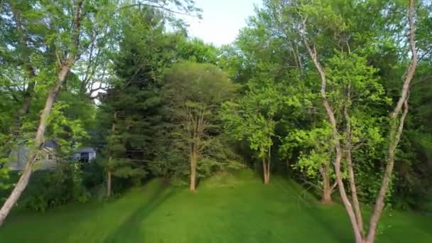 Drone Footage Tree Tops Residential Single Family House Backyard Ohio — Stockvideo